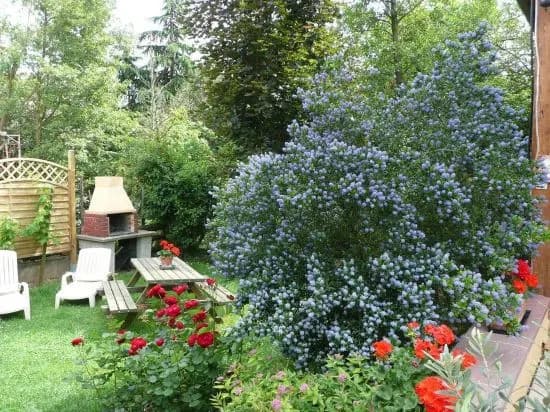 Gite de la Streng - Miniature 7