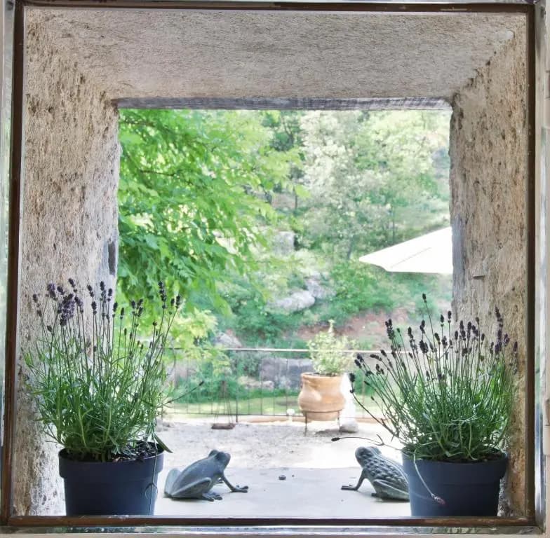 Le Moulin en Provence - Miniature 6