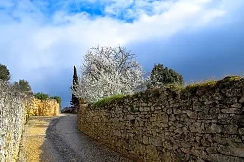 La Chabotine - Photo 2