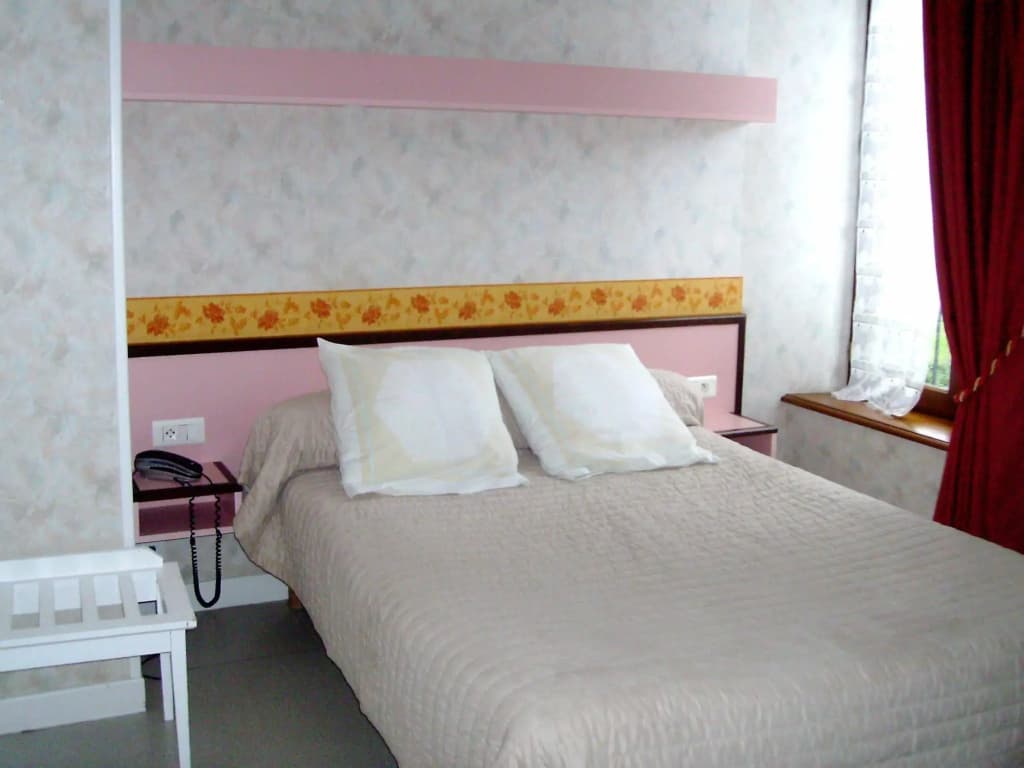 Auberge de l'Allagnonette - Photo 3