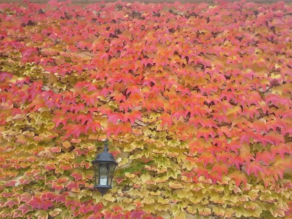 Au Pré du Moulin - Photo 2