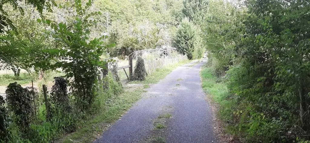CAP NATURE - COSY T1 T3 T5 à 3km de Périgueux - Photo 1