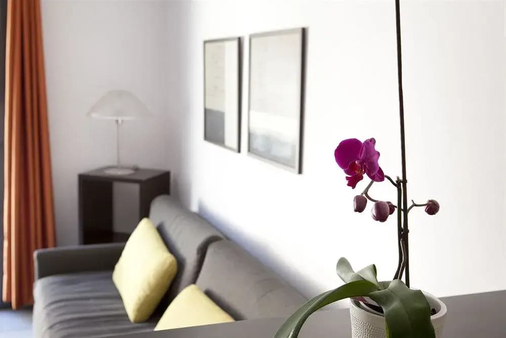 Appartement au pied des Alpilles - Photo 2