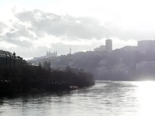 Appt T3, 55m2 proche Parc Tête D'or et quais du Rhône - Photo 3