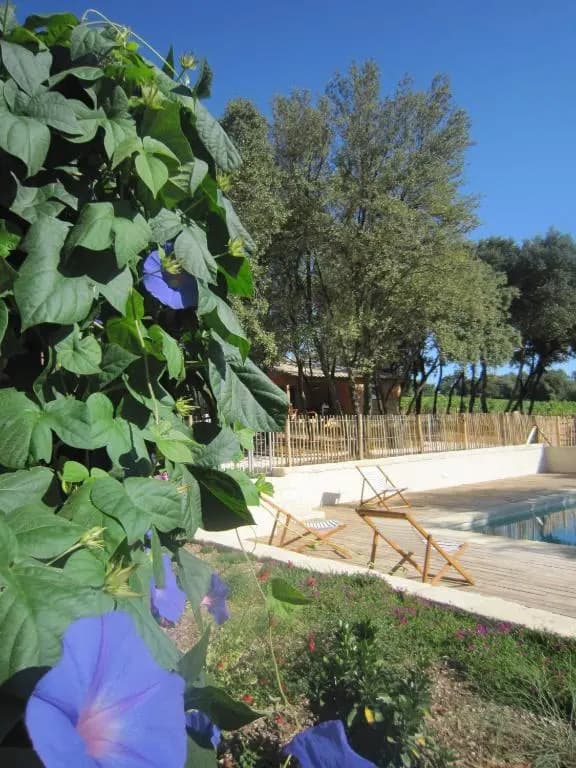 Les Cabanes de Carelle - Photo 5
