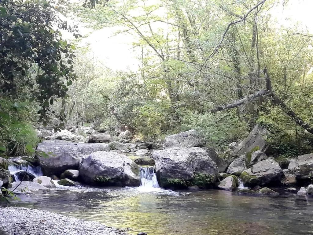 Holidays in Provence Alpes Maritimes - Photo 3