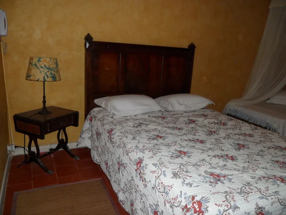 La Mandarine - Photo 4