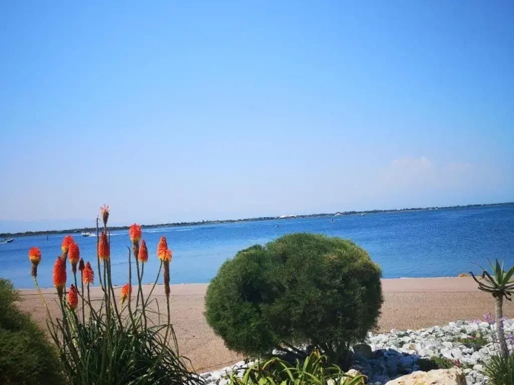 Appartement Port Barcarès, 2 pièces, 4 personnes - FR-1-195-25 - Photo 5