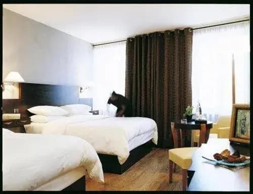Les Chambres de l'Ecrit'Vin - Photo 3