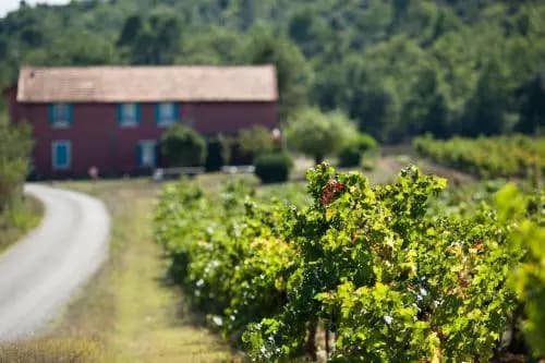 Mas de la Marotte - Photo 4