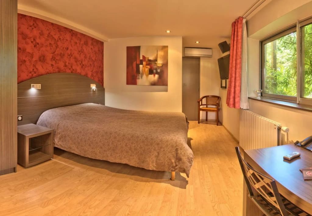 Hotel Dauphin Blanc - Photo 1