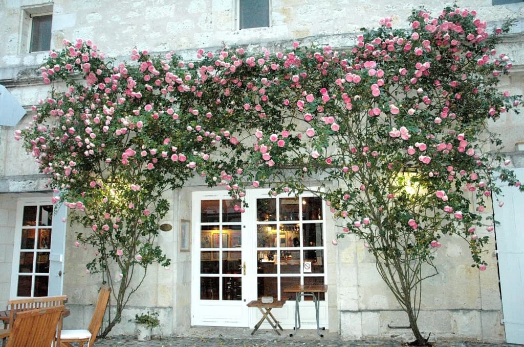 Hôtel De Bastard - Photo 1