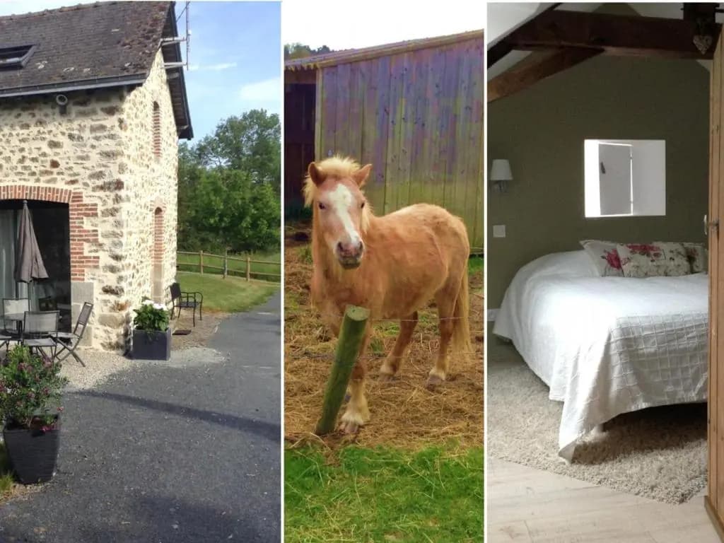 Gîte Montsûrs, 3 pièces, 4 personnes - FR-1-600-67 - Photo 4