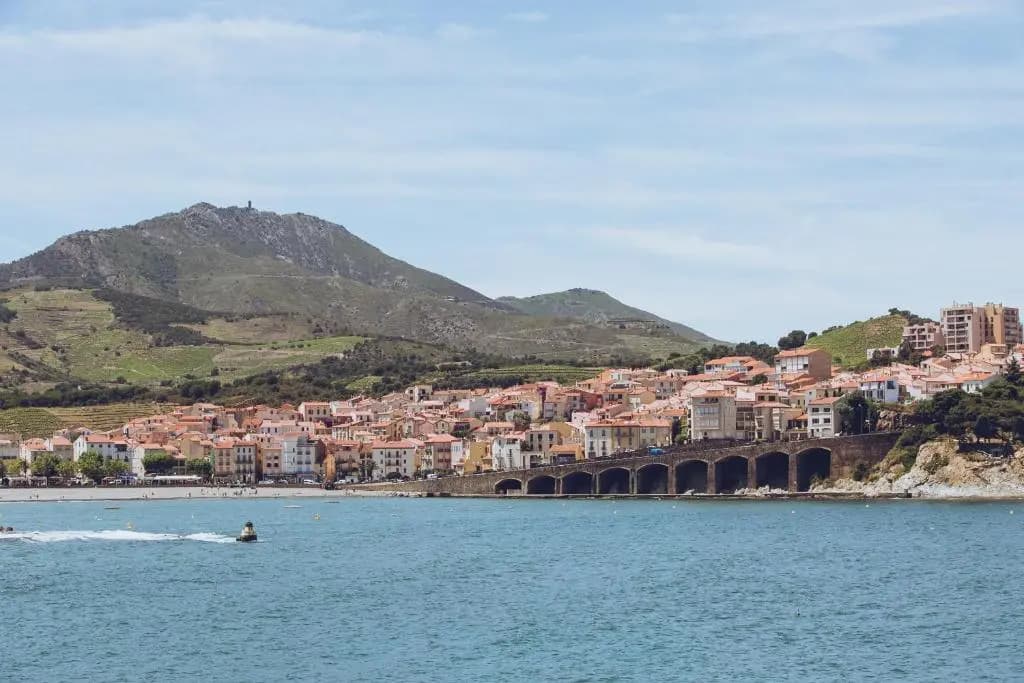 Regina's Banyuls - Top view - Photo 3