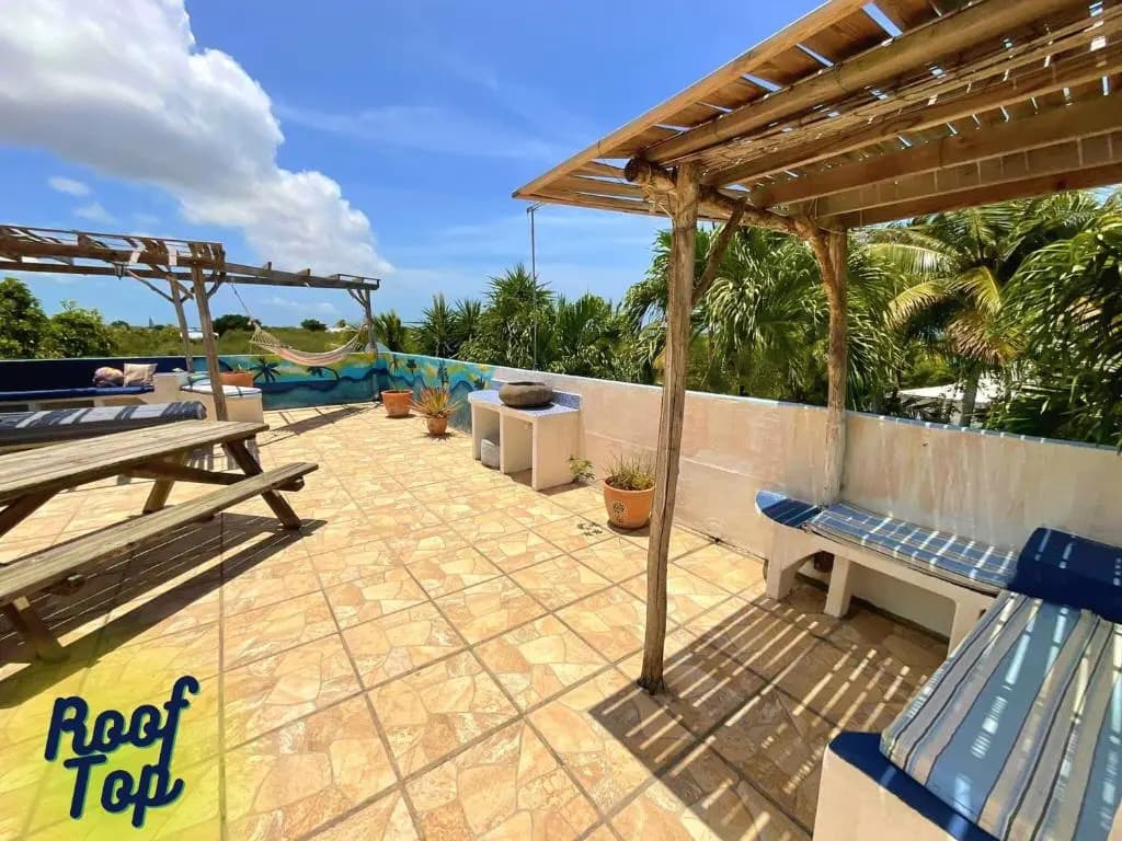 Caraiba - Miniature 8