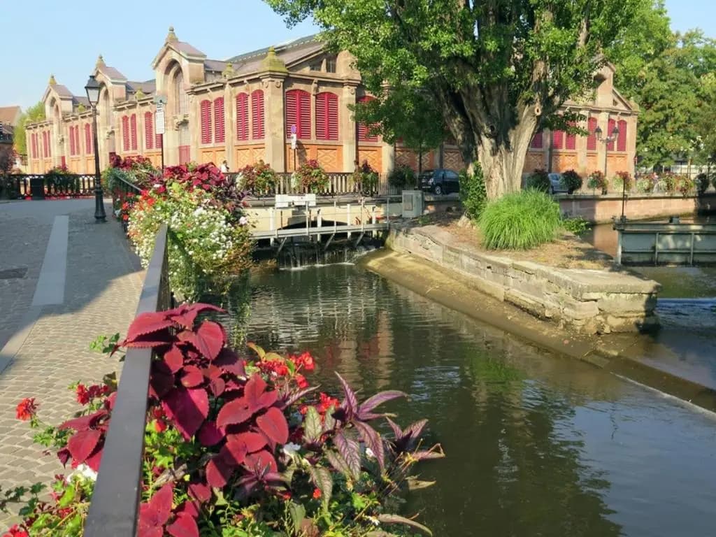 NEW ! Sur les Quais de Colmar avec parking inclus 1710 - Photo 5