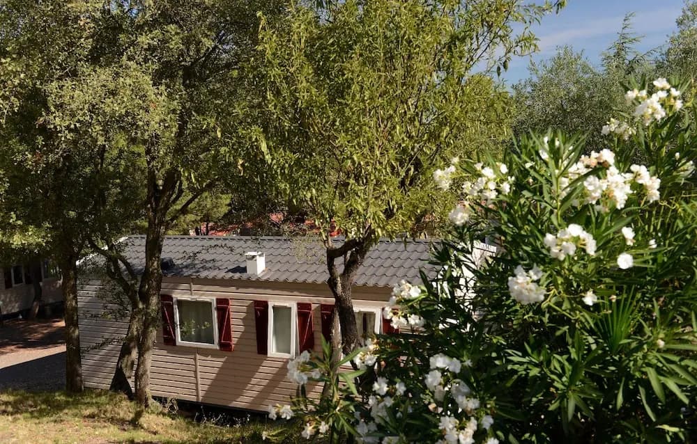Camping Odalys La Pinède - Miniature 7