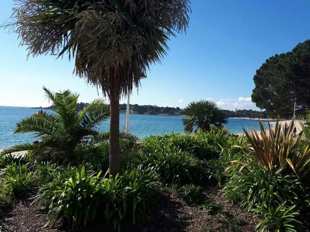 Camping de la Plage - Miniature 7