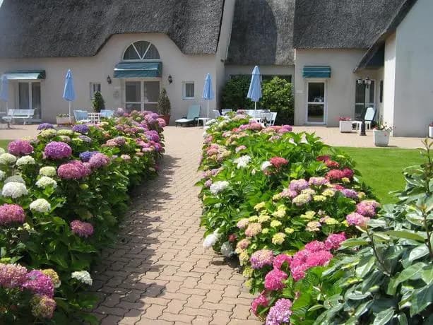 Hotel Les Chaumieres Du Lac - Miniature 7