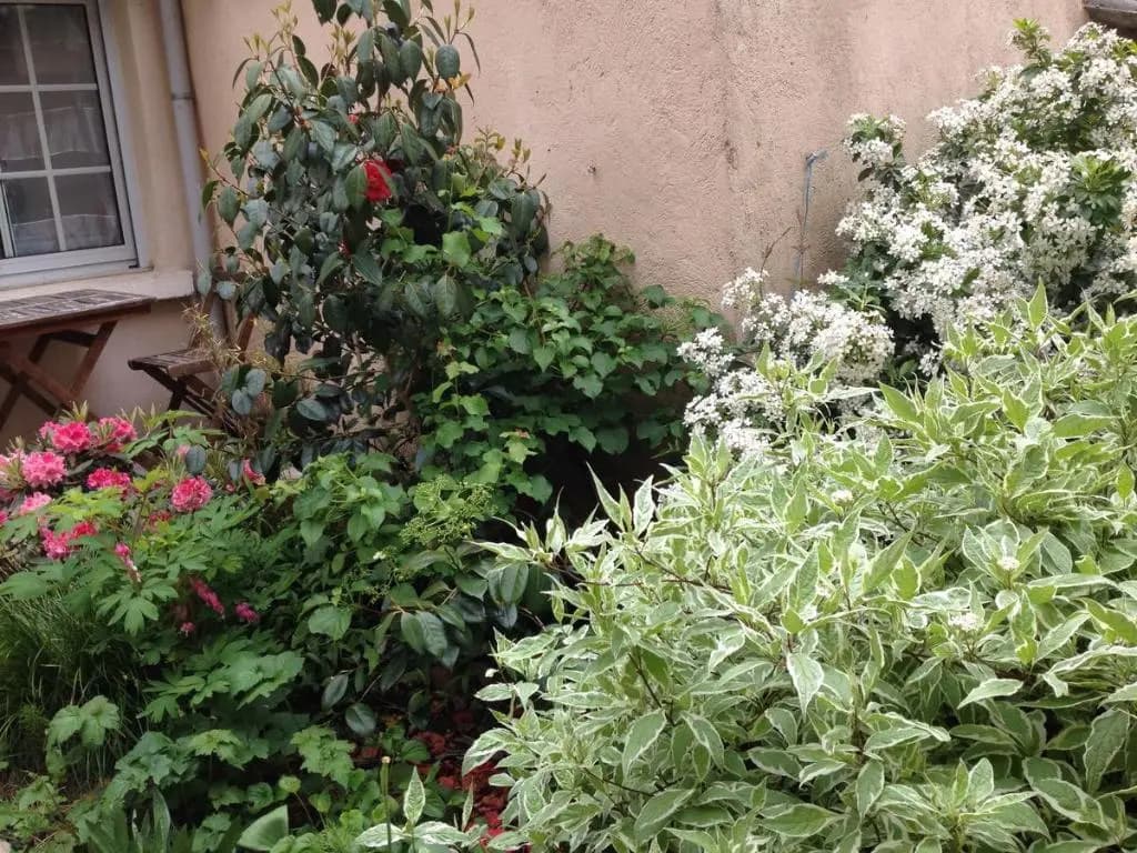 La petite Maison dans la Croix Rousse - Photo 1