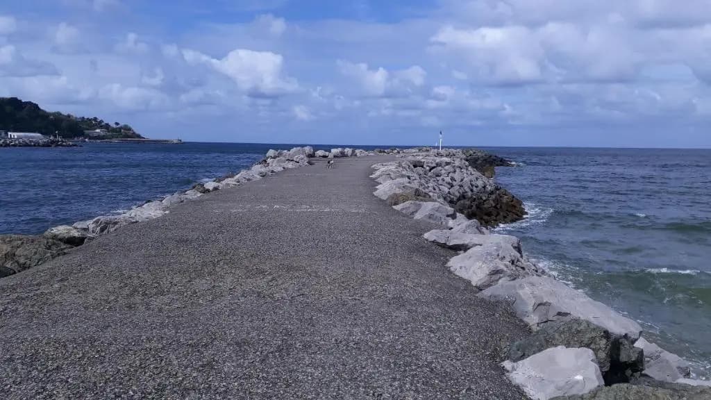 APPARTEMENT LES HIRONDELLES 2KM PLAGE-WiFI-JARDIN-PARKING-DRAPS ET SERVIETTES - Photo 5