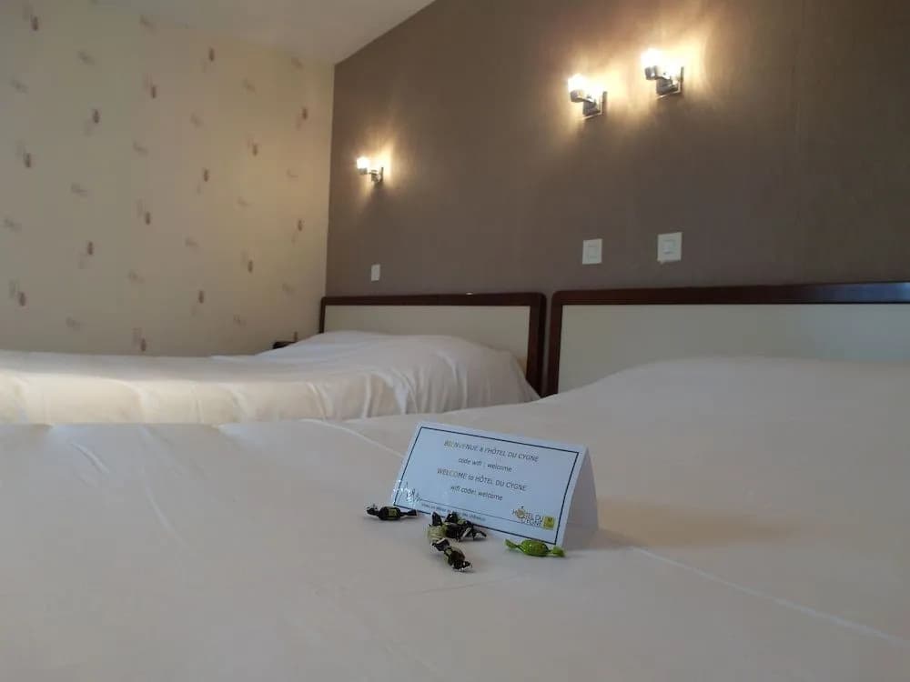 Hôtel Du Cygne - Miniature 6