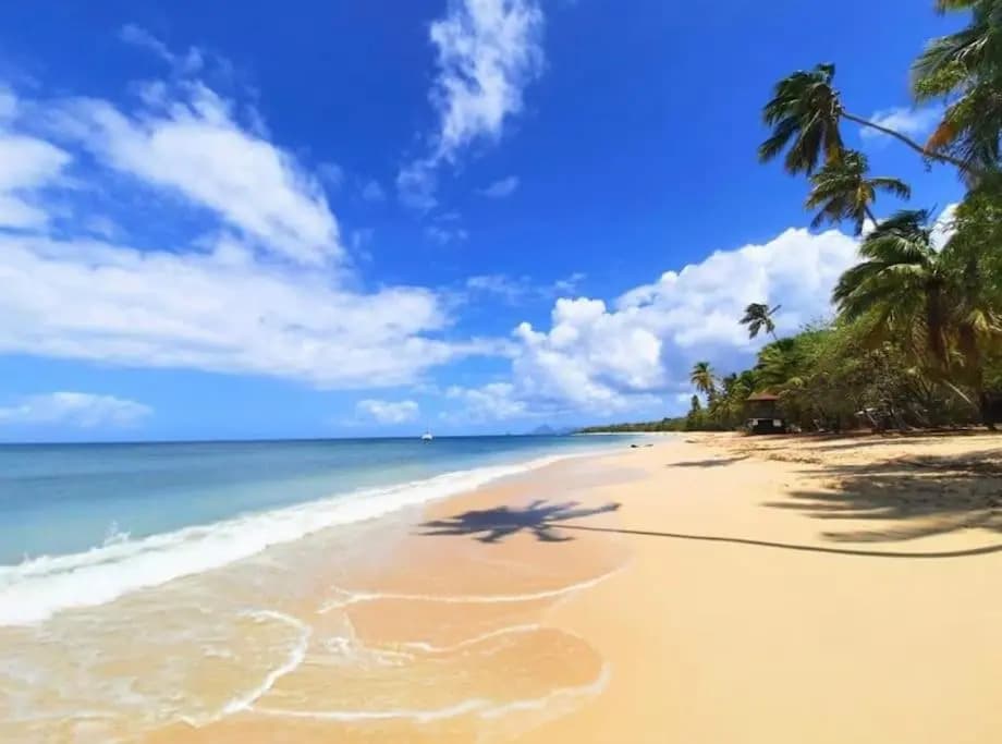 Le Diamant d'Océane, à 50 m de la plage - Photo 5
