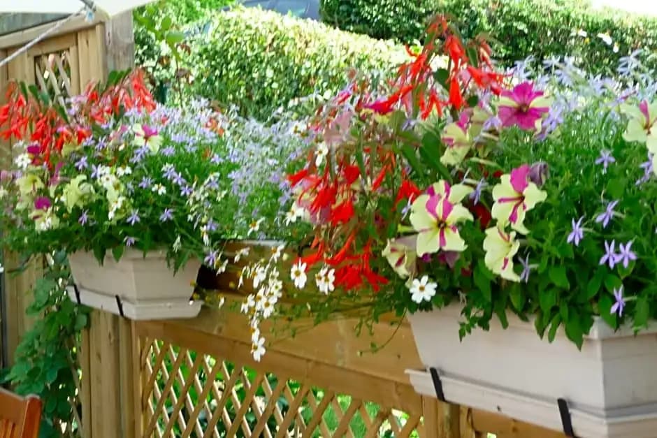 Le Relais des Malettes - Photo 4
