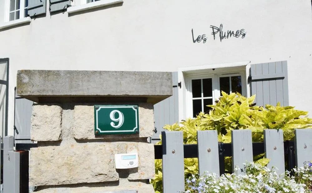Les Plumes - Photo 1