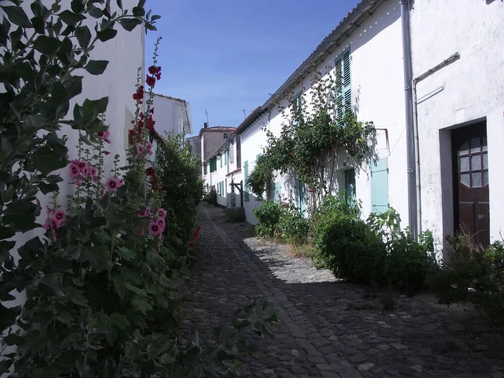 Maison Antioche - Photo 1