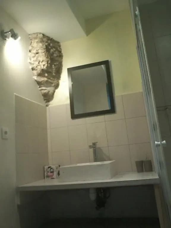 Les chambres de Rochefort - Photo 5