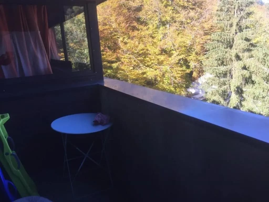 Appartement Mont-Dore, 2 pièces, 4 personnes - FR-1-415-39 - Miniature 8