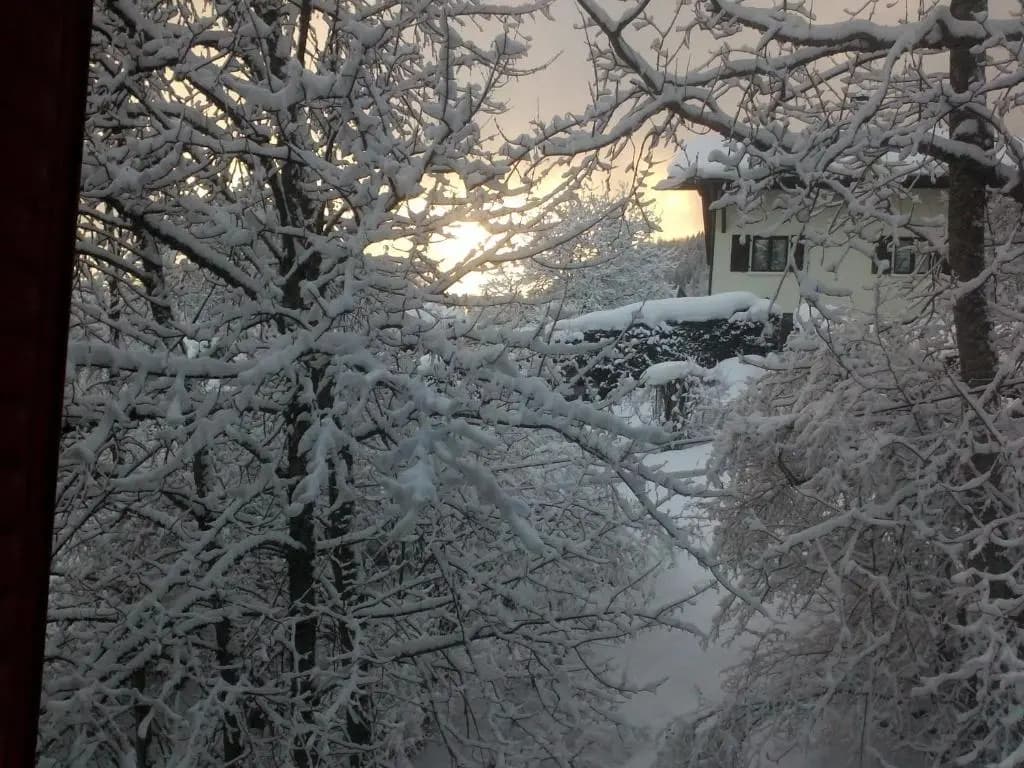 Le reposoir - Photo 3