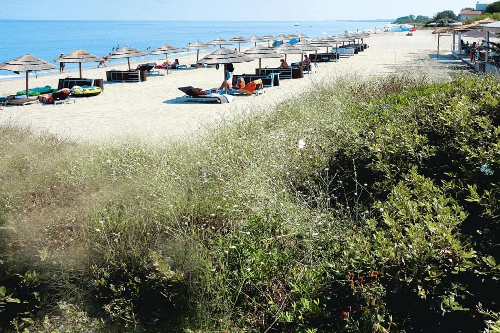 Res. La Vallicella, Moriani-plage, Apartment With Terrace or Balcony - Miniature 6