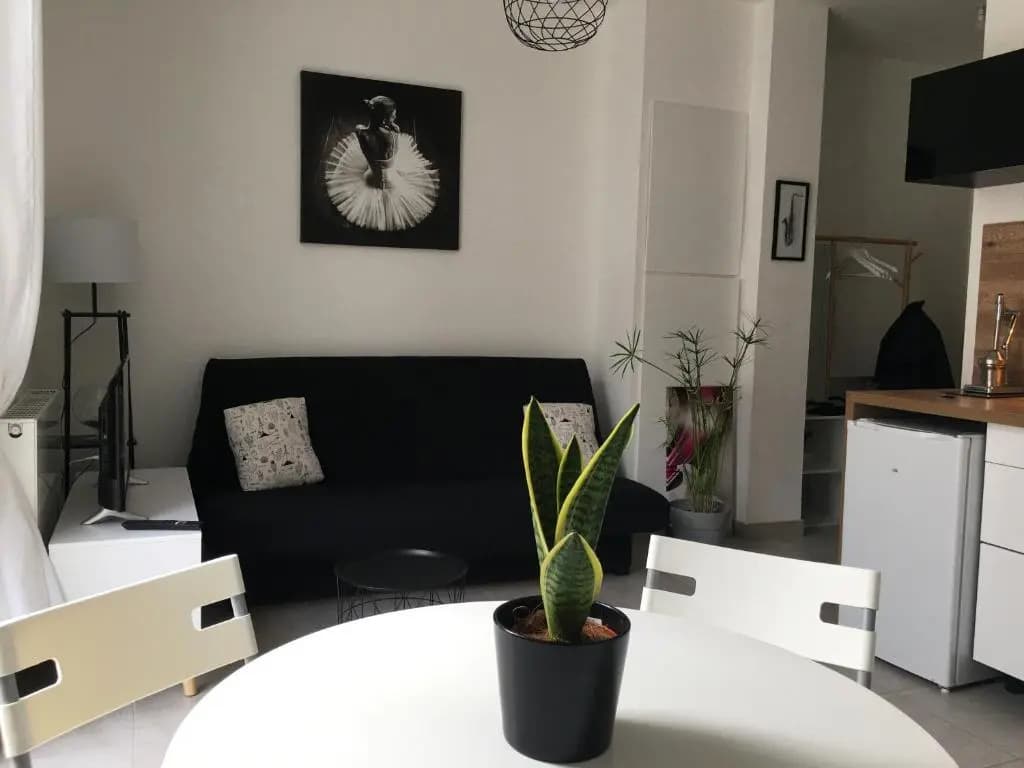 Appartement calme,lumineux ,coeur culturel deTOURS - Photo 2
