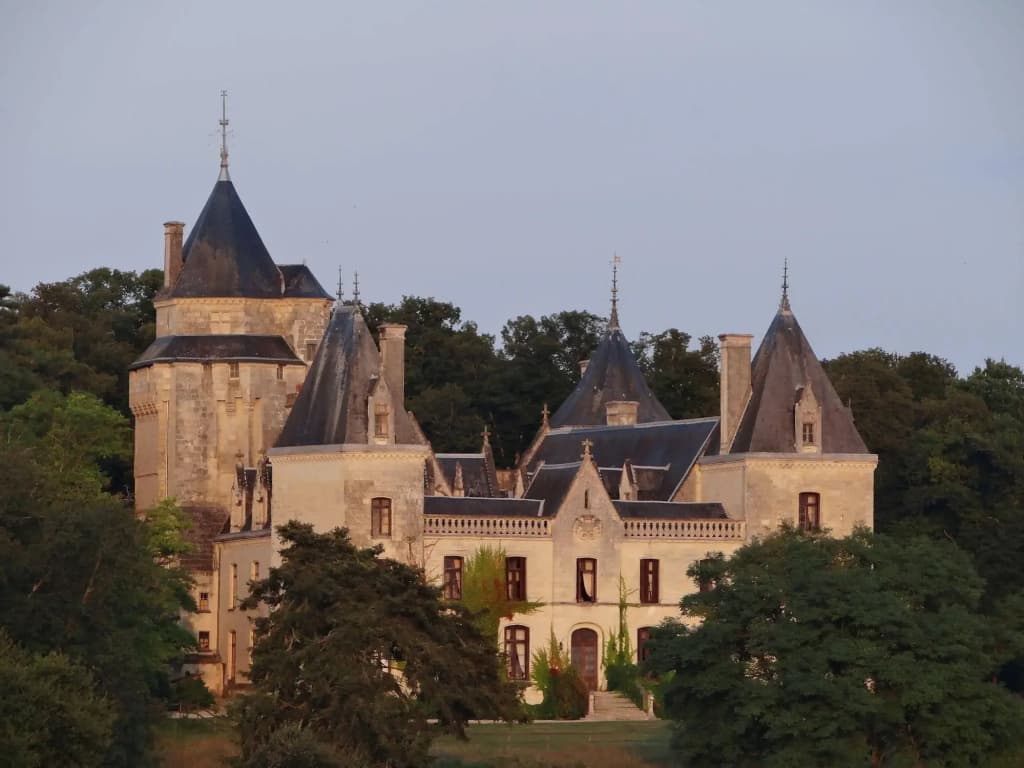 Château de Ternay - Photo 1