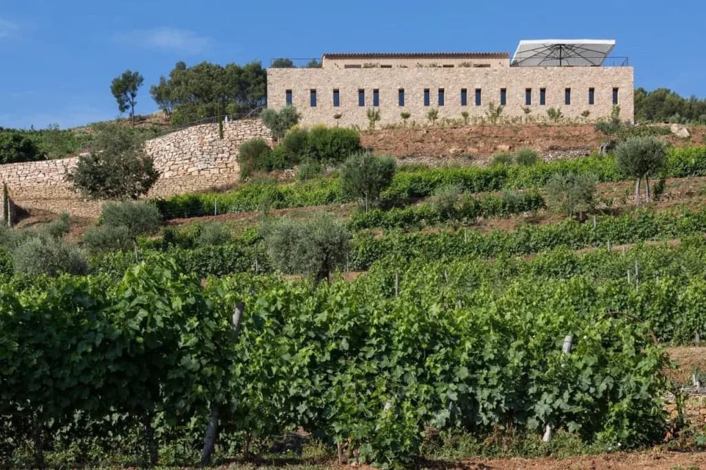 Domaine de la Font des Pères - Photo 1