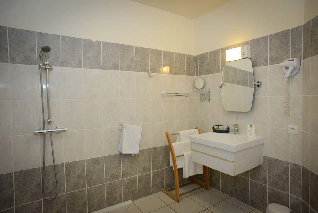 Brit Hotel Le Cygne - Miniature 8