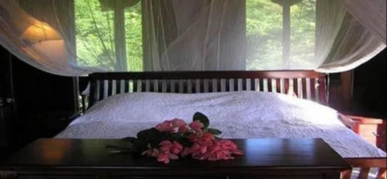 Tainos Cottages - Photo 3