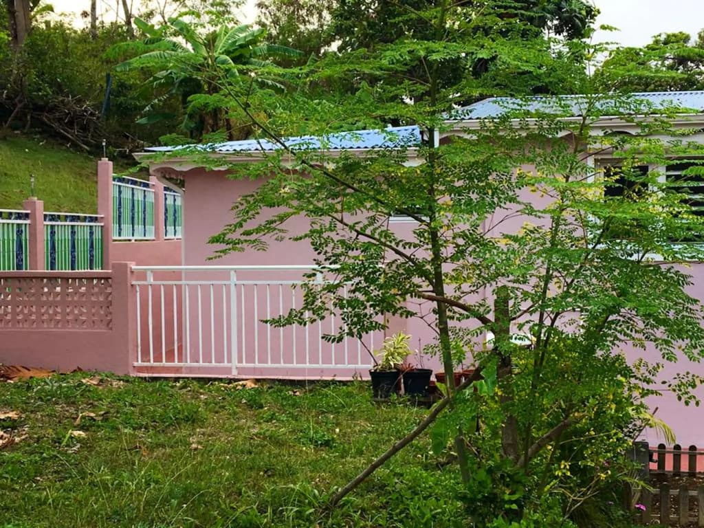 Appartement d'une chambre avec jardin amenage et wifi a Le Gosier a 3 km de la plage - Photo 3