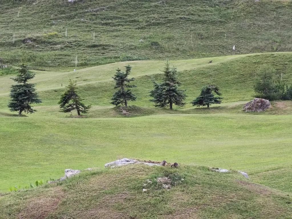 Chalet Club Val Claret 1 46 - Photo 5