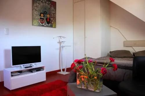 Studio de la Petite Venise - Photo 3