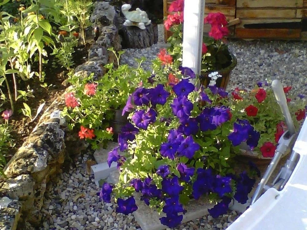 Les Egalieres - Photo 4