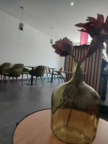 3B Hôtel de Bordeaux - Miniature 8