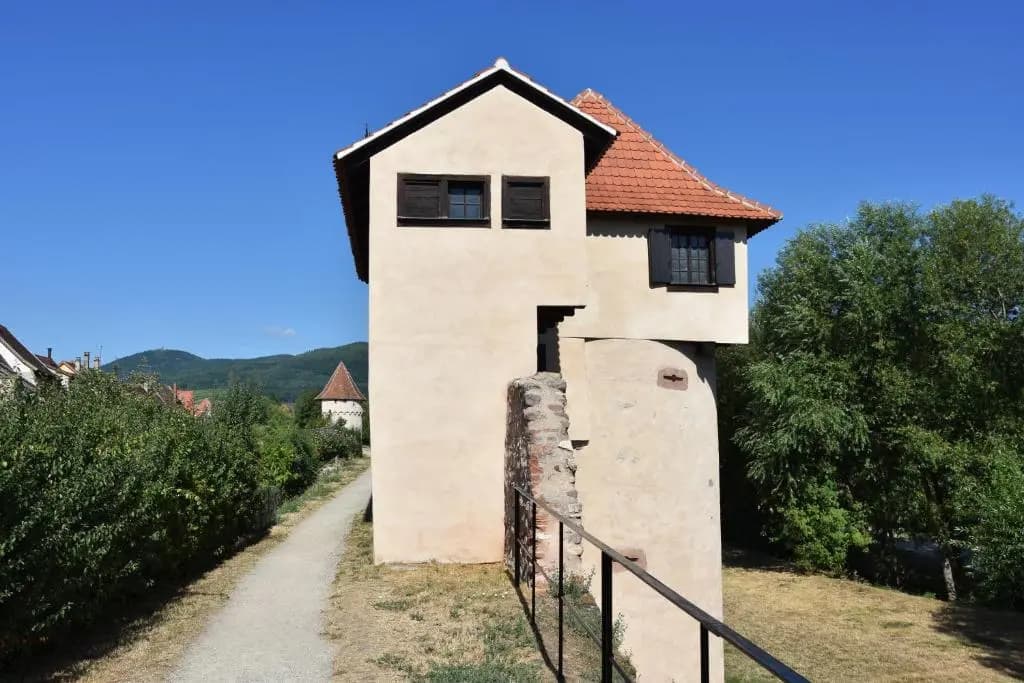 S'harzala Vert Bis - Photo 5