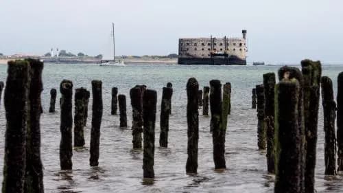 Paradiles - Photo 3