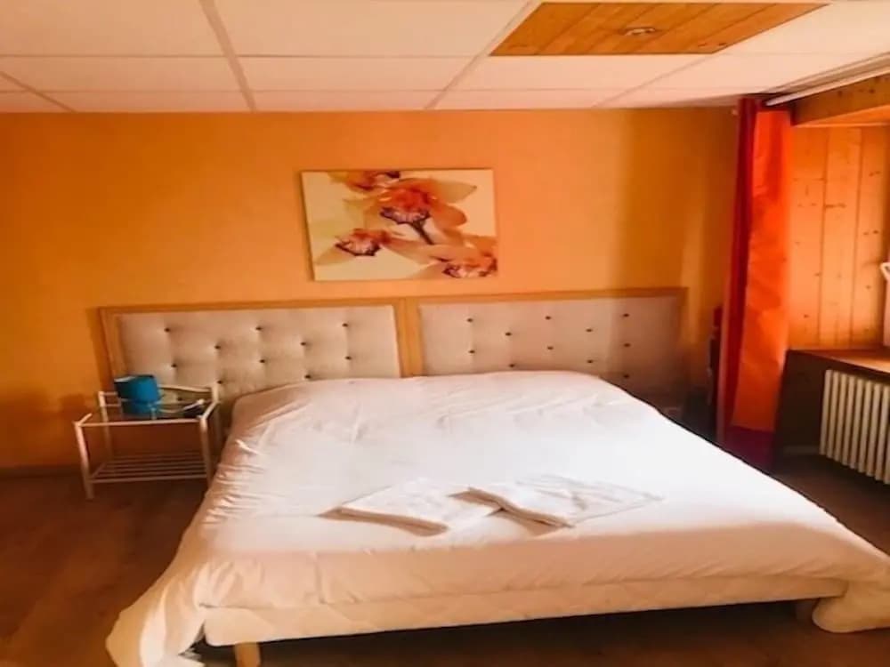 Hotel des Cevennes - Photo 3