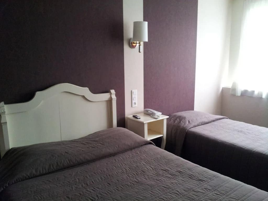 Hotel Des Dhuits - Photo 1