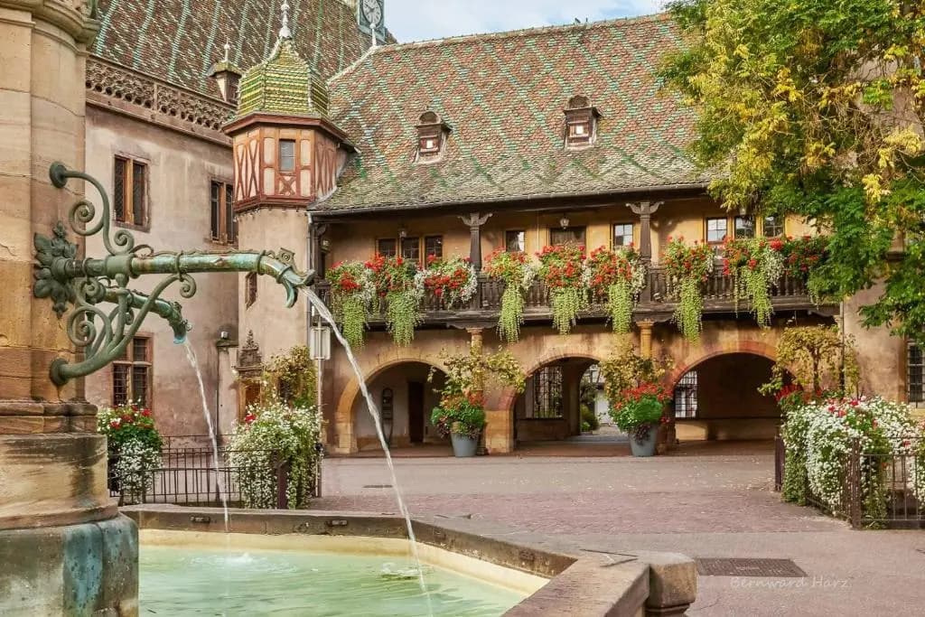 L'ambassadeur - Colmar Centre - Photo 1