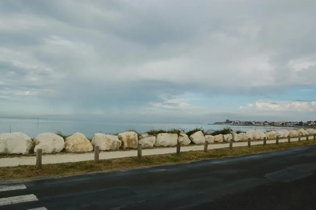 La Salamandre - Miniature 6